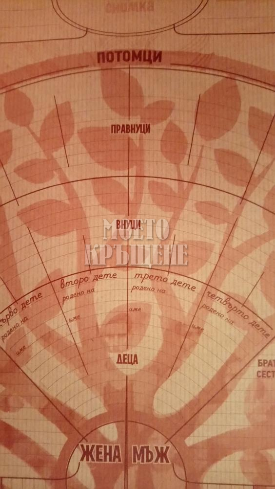 МОЕТО РОДОСЛОВНО ДЪРВО